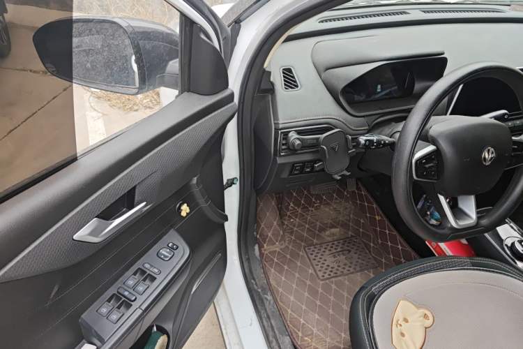 Used Electric House YOUNG Light XiaoXin 2021 S400 4-seater Driver Seat