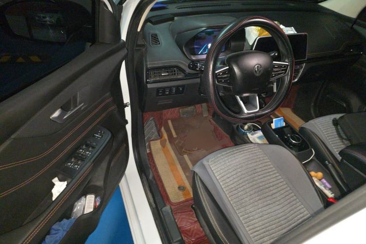 Used Electric House YOUNG Light XiaoXin 2021 L400 4-seater Driver Seat