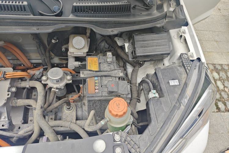 Used Electric House YOUNG Light XiaoXin 2021 S300 4-seater Engine Bay Left