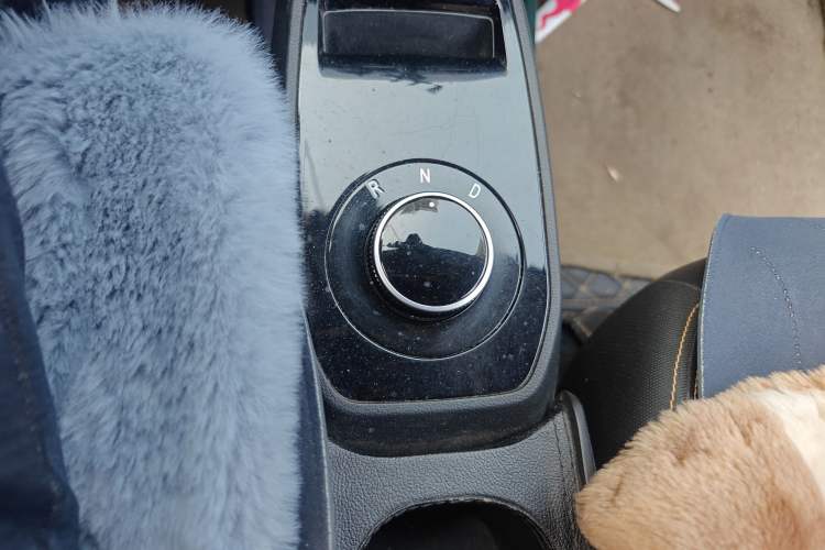 Used Electric House YOUNG Light XiaoXin 2021 L400 4-seater Gear Lever