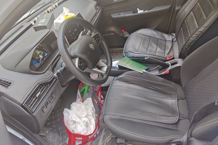 Used Electric House YOUNG Light XiaoXin 2021 S300 4-seater Left Front Seat