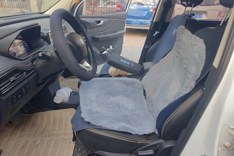 Used Electric House YOUNG Light XiaoXin 2021 L400 4-seater Left Front Seat