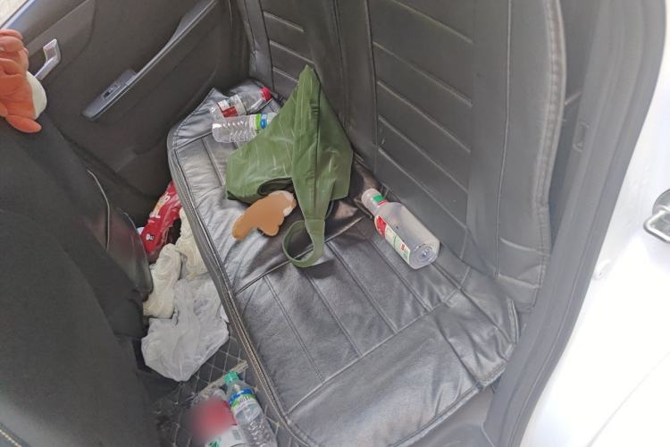 Used Electric House YOUNG Light XiaoXin 2021 S300 4-seater Left Rear Seat
