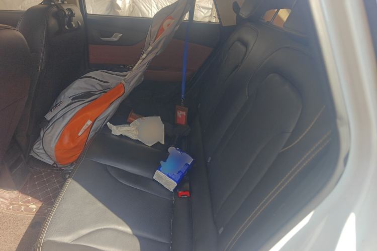 Used Electric House YOUNG Light XiaoXin 2021 L400 4-seater Left Rear Seat