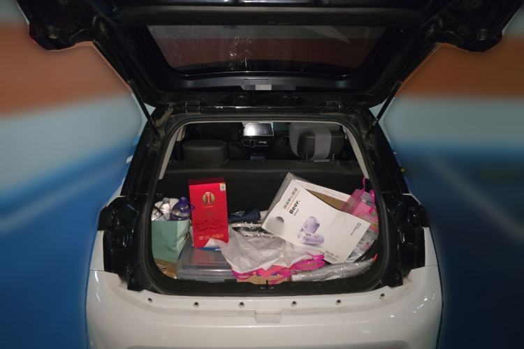 Used Electric House YOUNG Light XiaoXin 2021 L400 4-seater Trunk