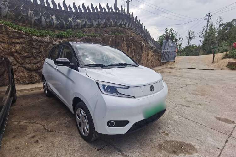 Used Electric House YOUNG Light XiaoXin 2023 302KM Original Version Exterior 2