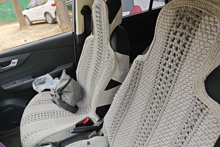 Used Electric House YOUNG Light XiaoXin 2023 302KM Original Version Left Front Seat