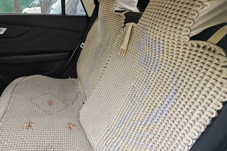 Used Electric House YOUNG Light XiaoXin 2023 302KM Original Version Left Rear Seat