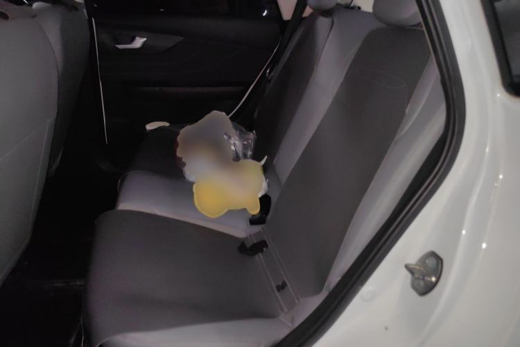 Used Electric House YOUNG Light XiaoXin 2023 408KM Pearl Edition Left Rear Seat