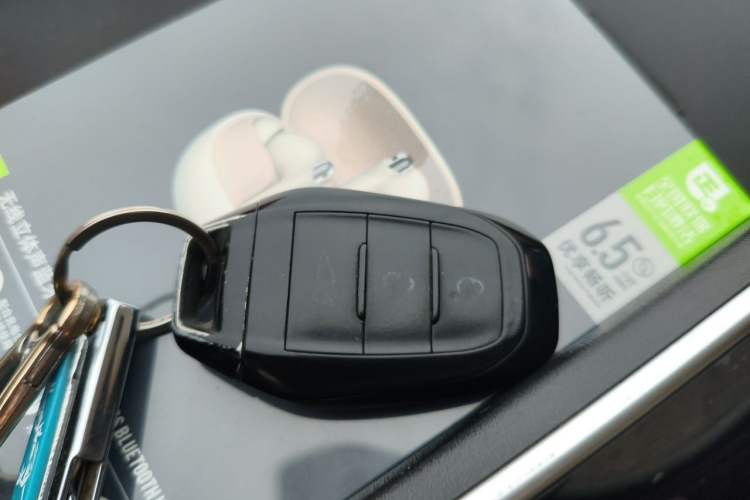 Used Electric House YOUNG Light XiaoXin 2023 302KM Original Version Vehicle Key