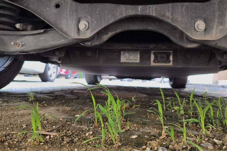 Used ENOVATE ME7 2021 530 km Chassis Rear