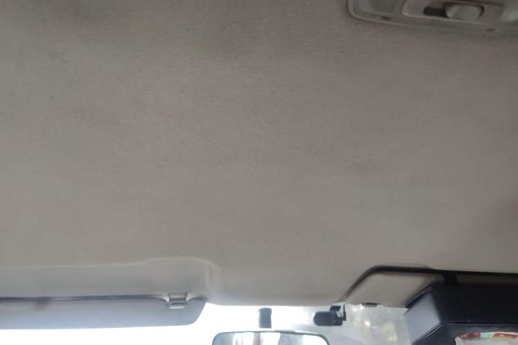 Used Everus S1 2012 1.3L Automatic Comfort Edition Headliner