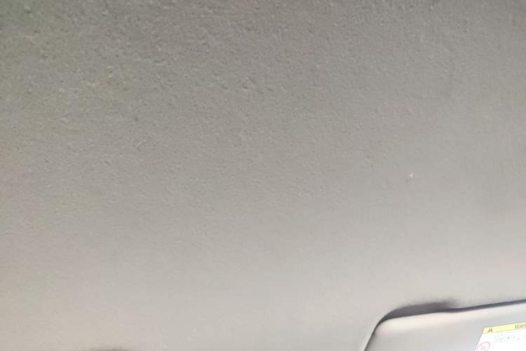 Used Everus S1 2014 1.3L Automatic Comfort Edition Headliner