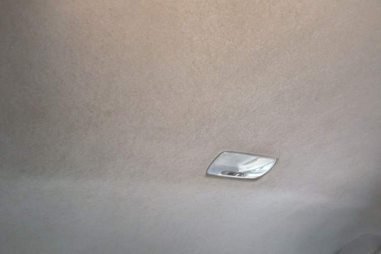 Used Everus S1 2014 1.3L Automatic Comfort Edition Headliner