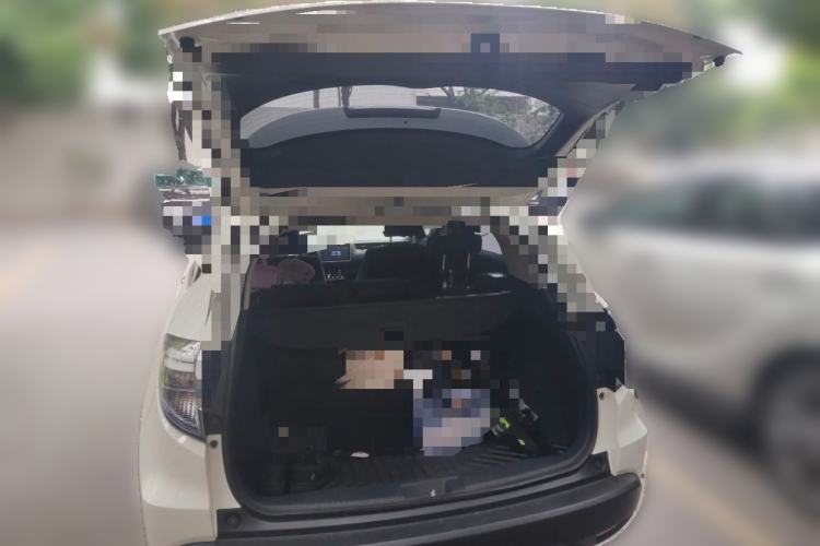 Used Everus VE-1 2021 Travel Edition Trunk
