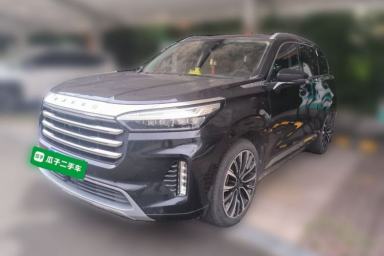 Used EXEED Lanyue 2021 400T Two-Wheel-Drive Xingrui Pro Edition 7-Seater