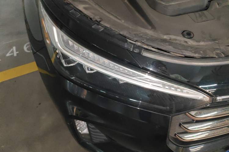 Used EXEED Lanyue 2021 400T Two-Wheel Drive Starlight Pro Edition 7-Seater Exterior 6