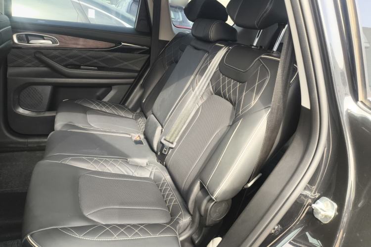 Used EXEED Lanyue 2021 390T Two-Wheel Drive StarRui Long-Range Version Left Rear Seat
