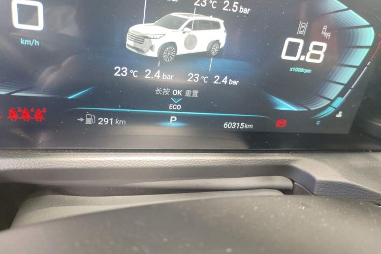 Used EXEED Lanyue 2021 390T Two-Wheel Drive StarRui Edition Odometer Close Up