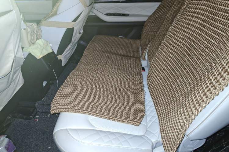 Used EXEED Lanyue 2021 390T Four-Wheel Drive Star Prestige Edition Left Rear Seat