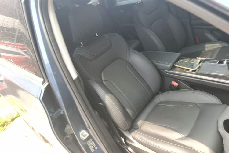 Used EXEED Lanyue 2021 390T Four-Wheel Drive Starry Edition Right Front Seat