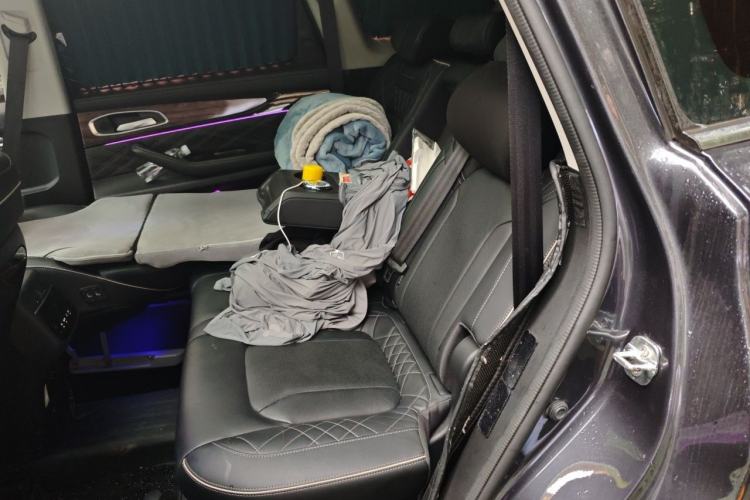 Used EXEED Lanyue 2021 390T Two-Wheel Drive StarRui Edition Left Rear Seat