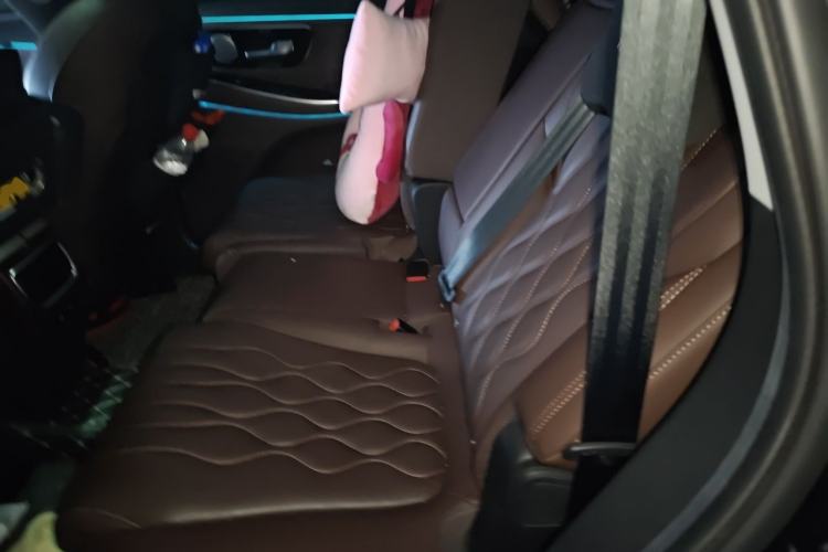 Used EXEED Lanyue 2023 400T Two-Wheel Drive Starry Edition 7-Seater Left Rear Seat