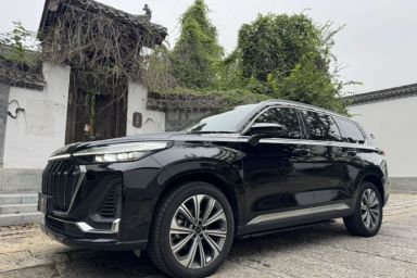 Used EXEED Lanyue 2023 400T Four-Wheel Drive Starry Edition 7-Seater