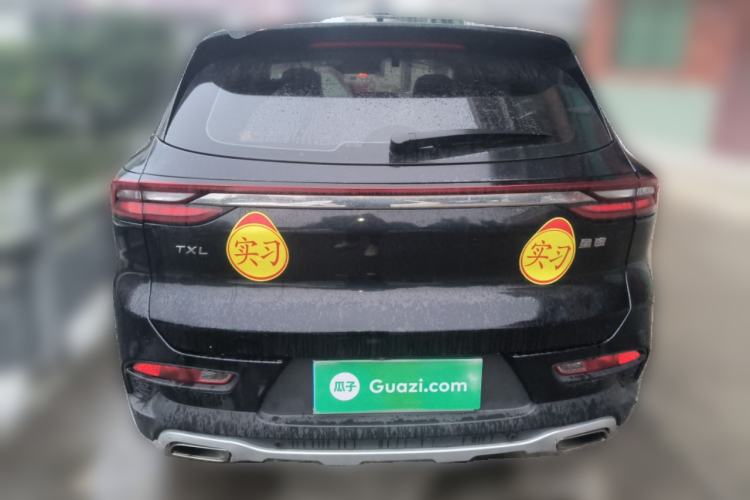 Used EXEED Lingyun 2020 1.6T Two-Wheel Drive Star Edition Rear