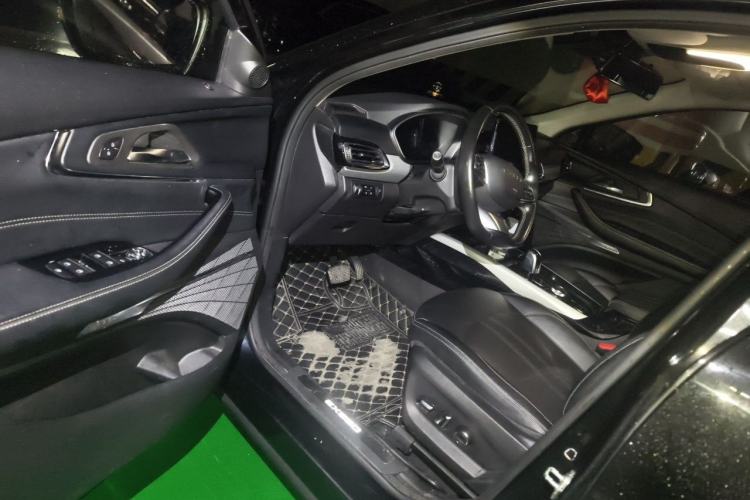 Used EXEED Lingyun 2019 1.6T Two-Wheel Drive Diamond Edition Driver Seat