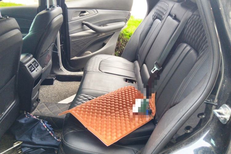 Used EXEED Lingyun 2019 1.6T Four-Wheel Drive Flagship Edition Left Rear Seat