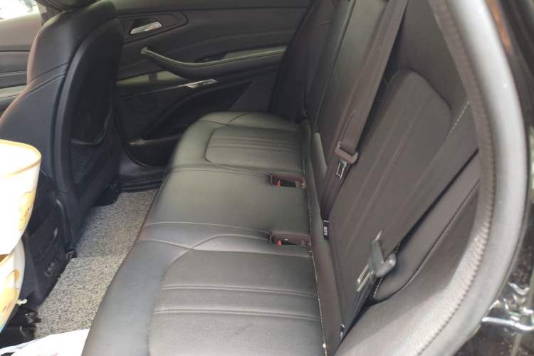 Used EXEED Lingyun 2019 1.6T Two-Wheel Drive Diamond Edition Left Rear Seat