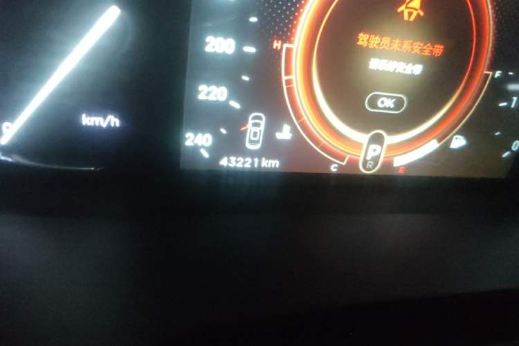 Used EXEED Lingyun 2019 1.6T Two-Wheel-Drive Platinum Edition Odometer Close Up