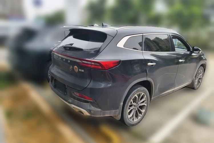 Used EXEED Lingyun 2019 1.6T Two-Wheel Drive Diamond Edition Rear