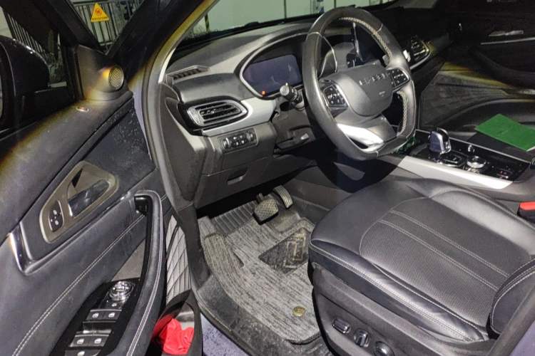 Used EXEED Lingyun 2019 1.6T Two-Wheel Drive Diamond Edition Driver Seat