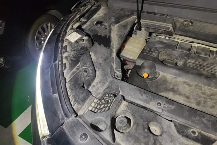 Used EXEED Lingyun 2019 1.6T Two-Wheel Drive Diamond Edition Engine Bay Right