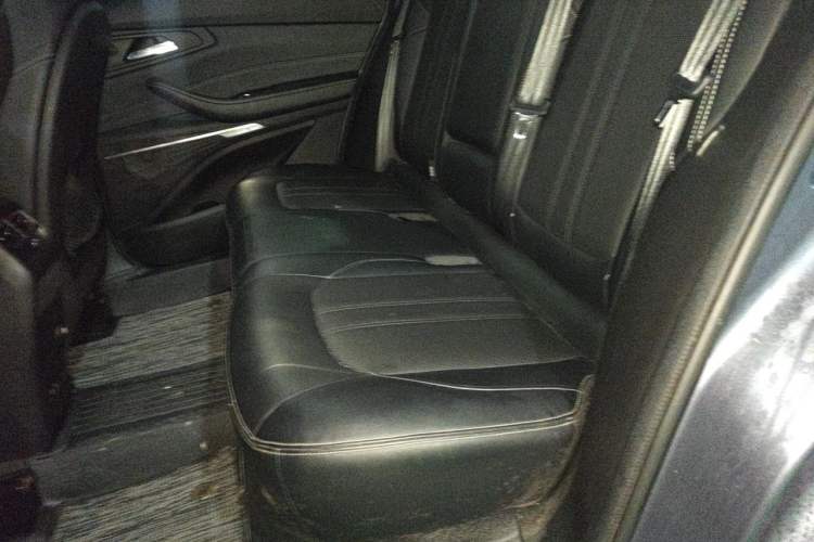 Used EXEED Lingyun 2019 1.6T Two-Wheel Drive Diamond Edition Left Rear Seat