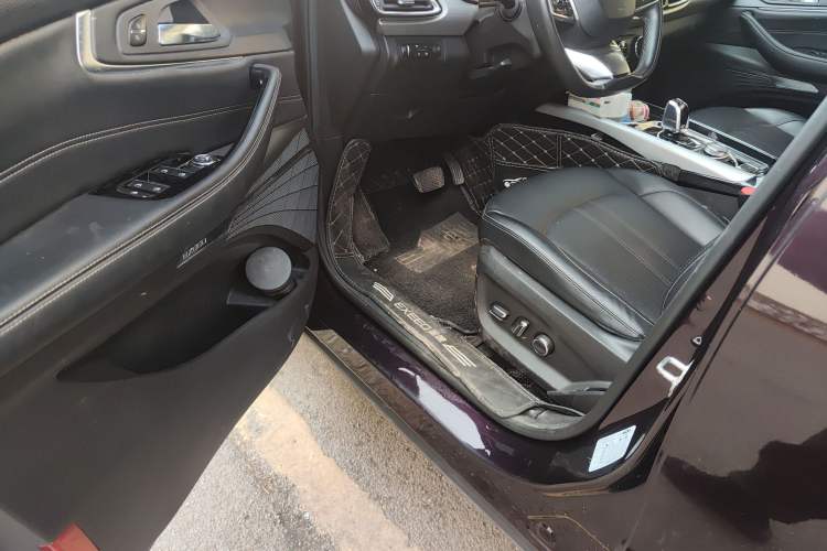 Used EXEED Lingyun 2019 1.6T Two-Wheel Drive Diamond Edition Driver Seat