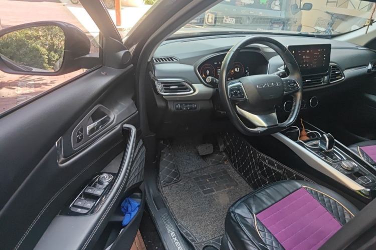 Used EXEED Lingyun 2019 1.6T Two-Wheel Drive Diamond Edition Driver Seat