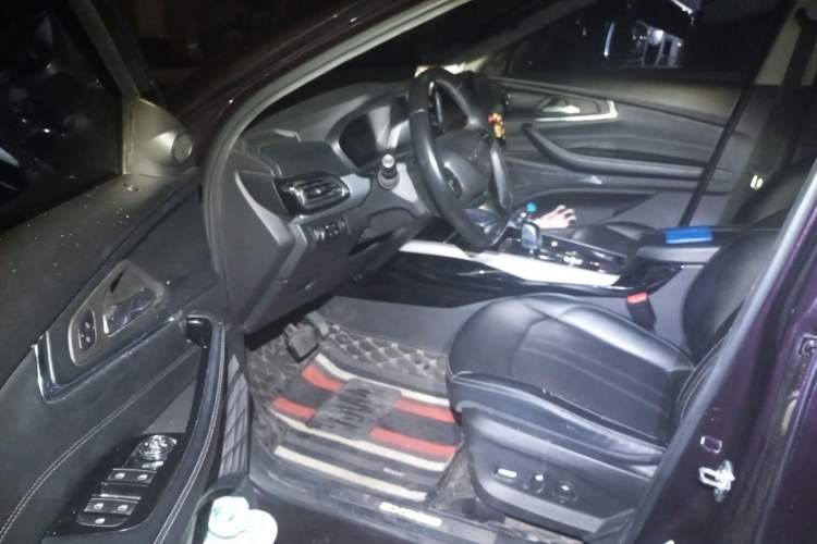 Used EXEED Lingyun 2019 1.6T Two-Wheel Drive Diamond Edition Driver Seat