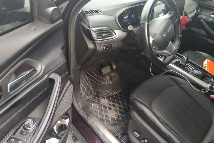 Used EXEED Lingyun 2019 1.6T Two-Wheel Drive Diamond Edition Driver Seat