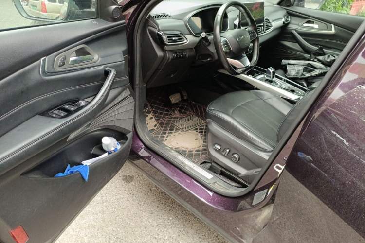 Used EXEED Lingyun 2019 1.6T Two-Wheel Drive Diamond Edition Driver Seat