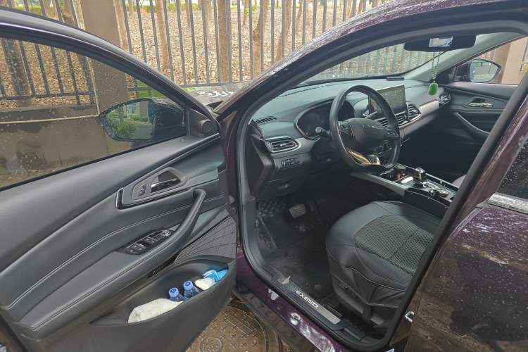 Used EXEED Lingyun 2019 1.6T Four-Wheel Drive Flagship Edition Driver Seat