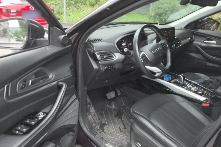Used EXEED Lingyun 2019 1.6T Two-Wheel Drive Diamond Edition Driver Seat