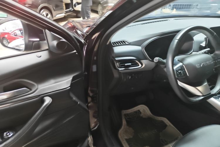 Used EXEED Lingyun 2019 1.6T Two-Wheel Drive Diamond Edition Driver Seat