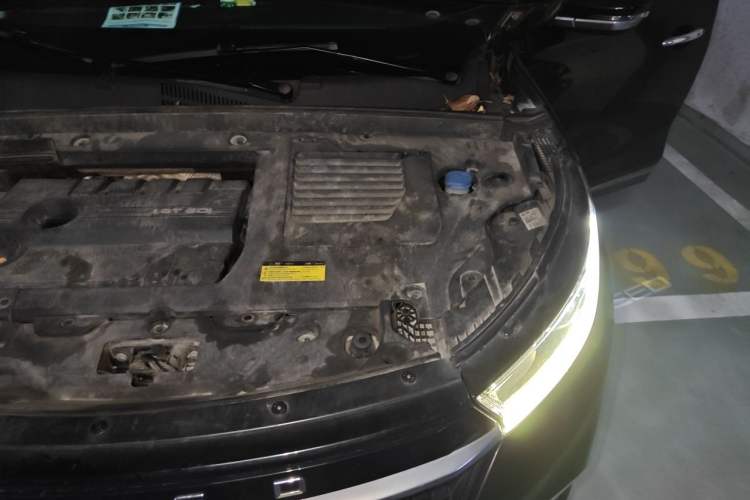 Used EXEED Lingyun 2019 1.6T Two-Wheel Drive Diamond Edition Engine Bay Left