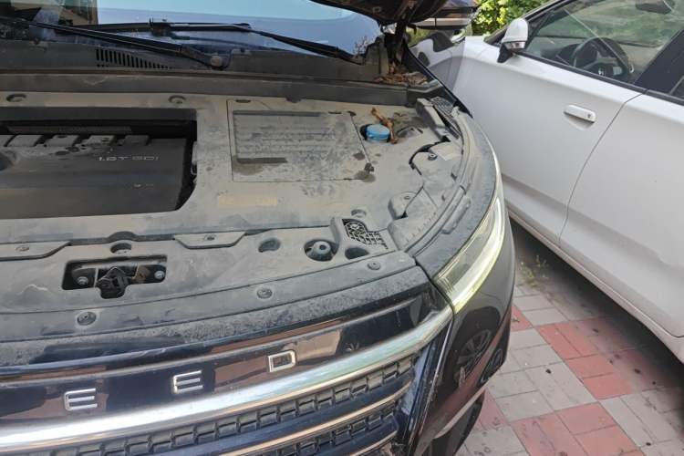 Used EXEED Lingyun 2019 1.6T Two-Wheel Drive Diamond Edition Engine Bay Left