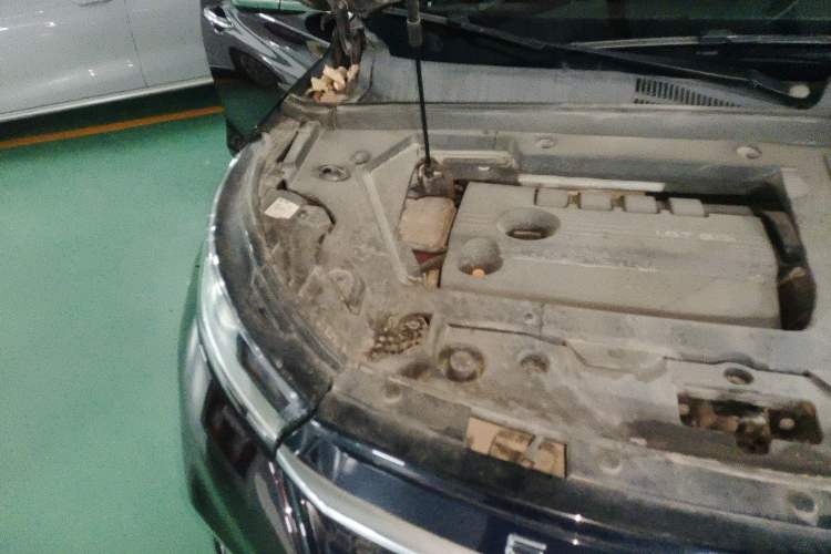 Used EXEED Lingyun 2019 1.6T Two-Wheel Drive Star曜 Edition Engine Bay Right