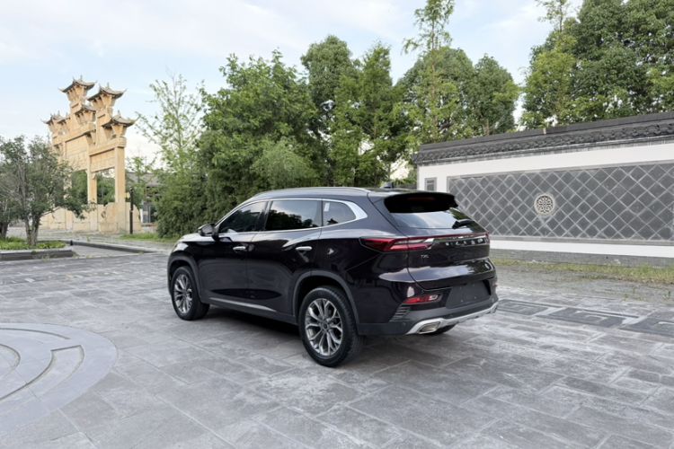 Used EXEED Lingyun 2019 1.6T Two-Wheel Drive Diamond Edition Exterior 5