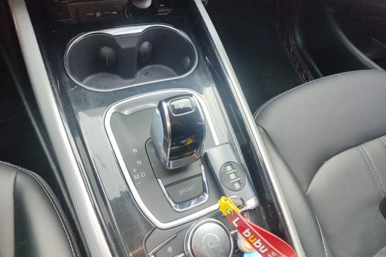 Used EXEED Lingyun 2019 1.6T Two-Wheel-Drive Platinum Edition Gear Lever